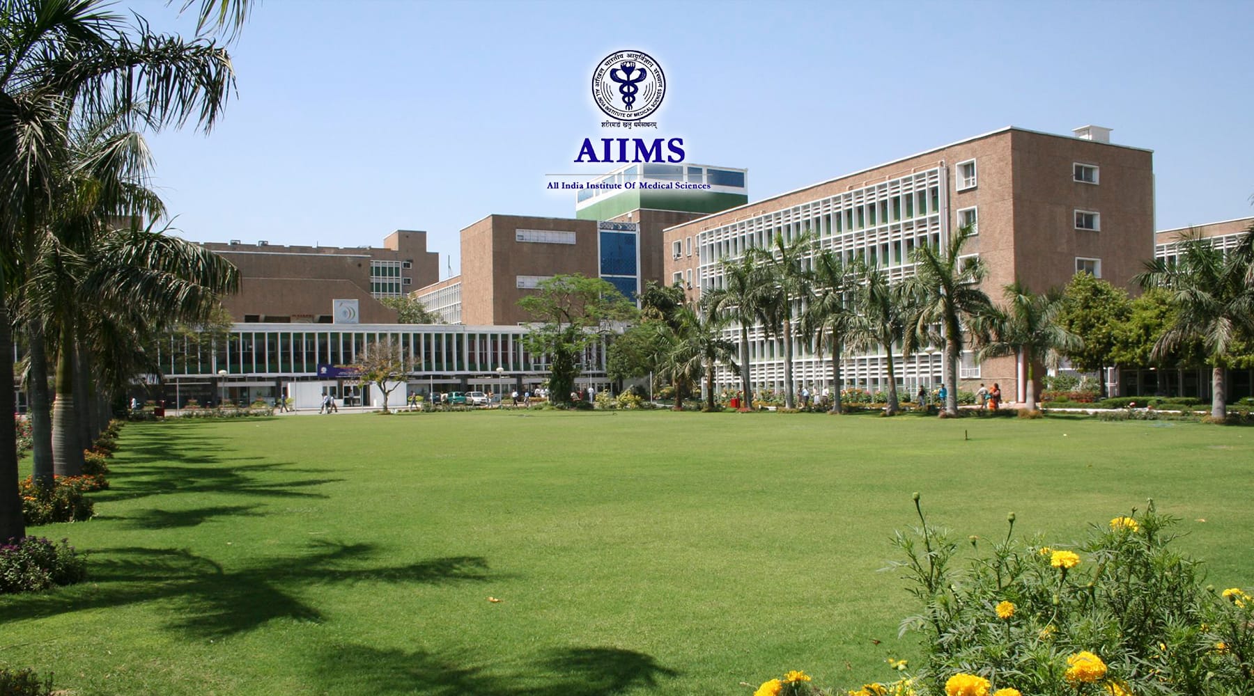 AIIMS 2